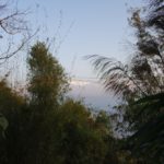 SAMSUNG CAMERA PICTURES