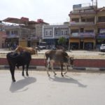 SAMSUNG CAMERA PICTURES