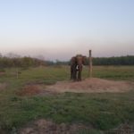 SAMSUNG CAMERA PICTURES