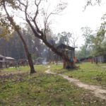 SAMSUNG CAMERA PICTURES