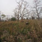 SAMSUNG CAMERA PICTURES