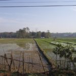 SAMSUNG CAMERA PICTURES