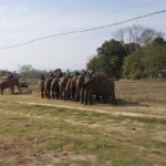 SAMSUNG CAMERA PICTURES