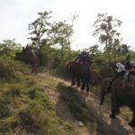 SAMSUNG CAMERA PICTURES