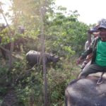 SAMSUNG CAMERA PICTURES