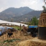 SAMSUNG CAMERA PICTURES