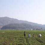 SAMSUNG CAMERA PICTURES